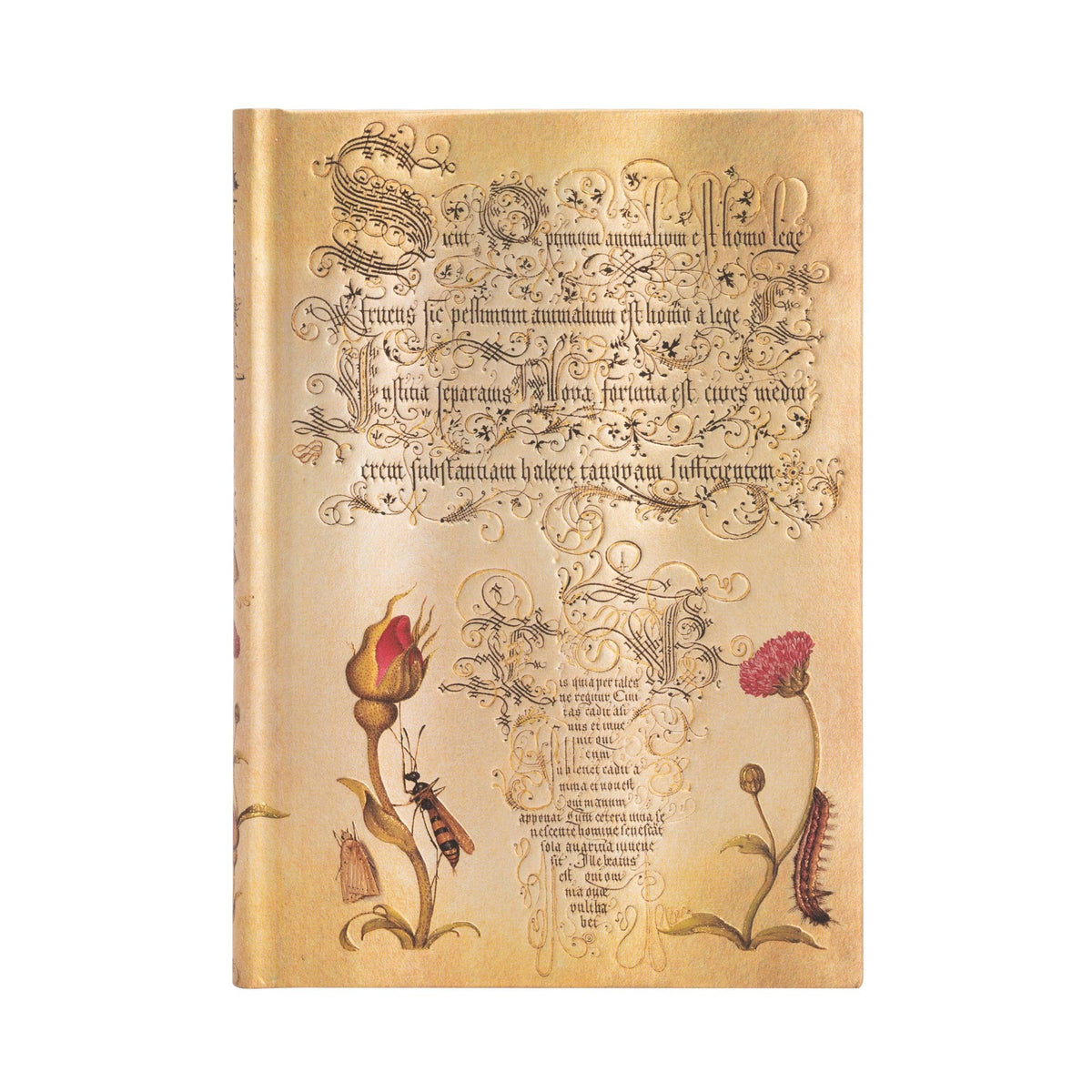 Flemish Rose Midi Lined Hardcover Journal, 144pg, 120GSM by Paperblanks (Mira Botanica)