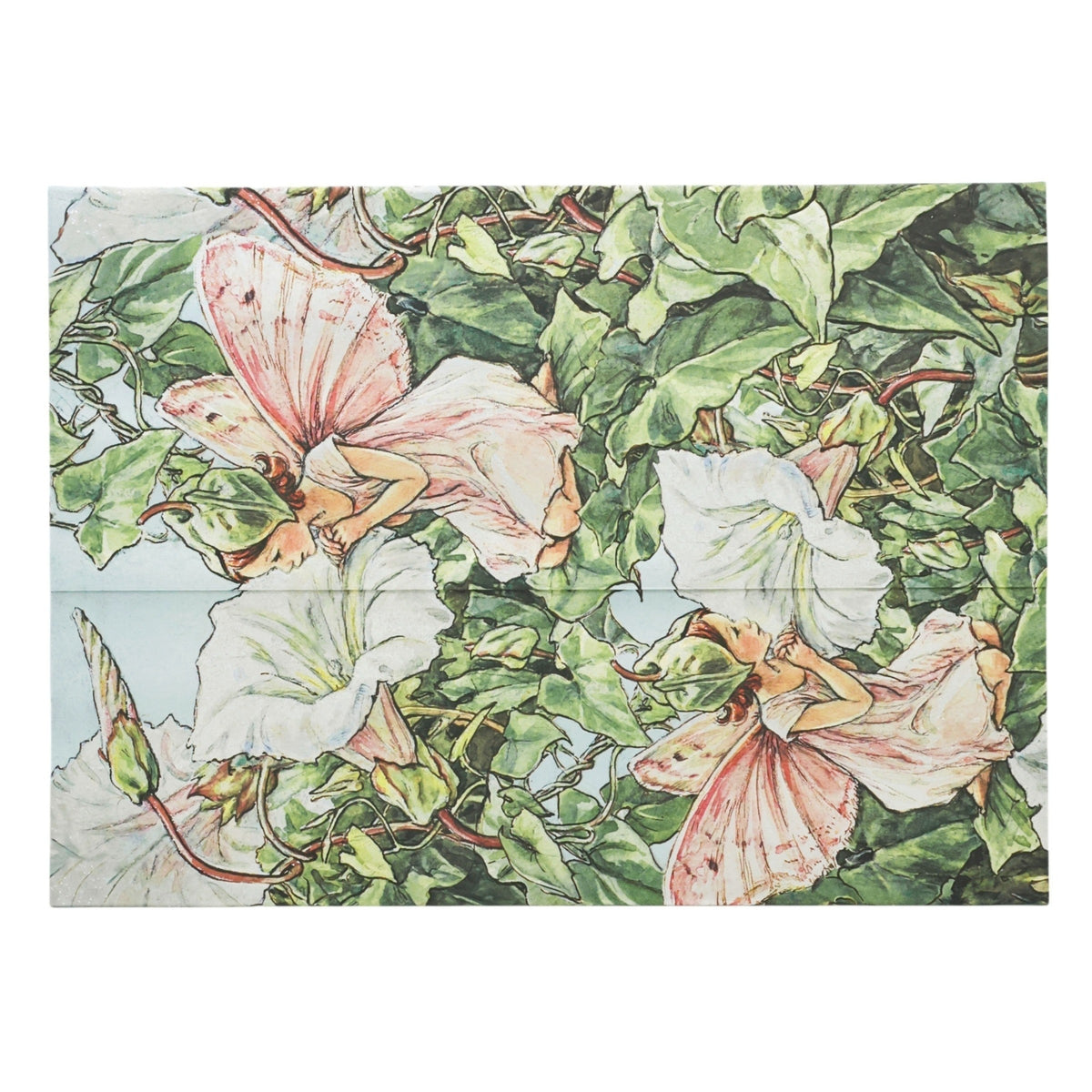 Bindweed Fairy Document Folder by Paperblanks (Flower Fairies)